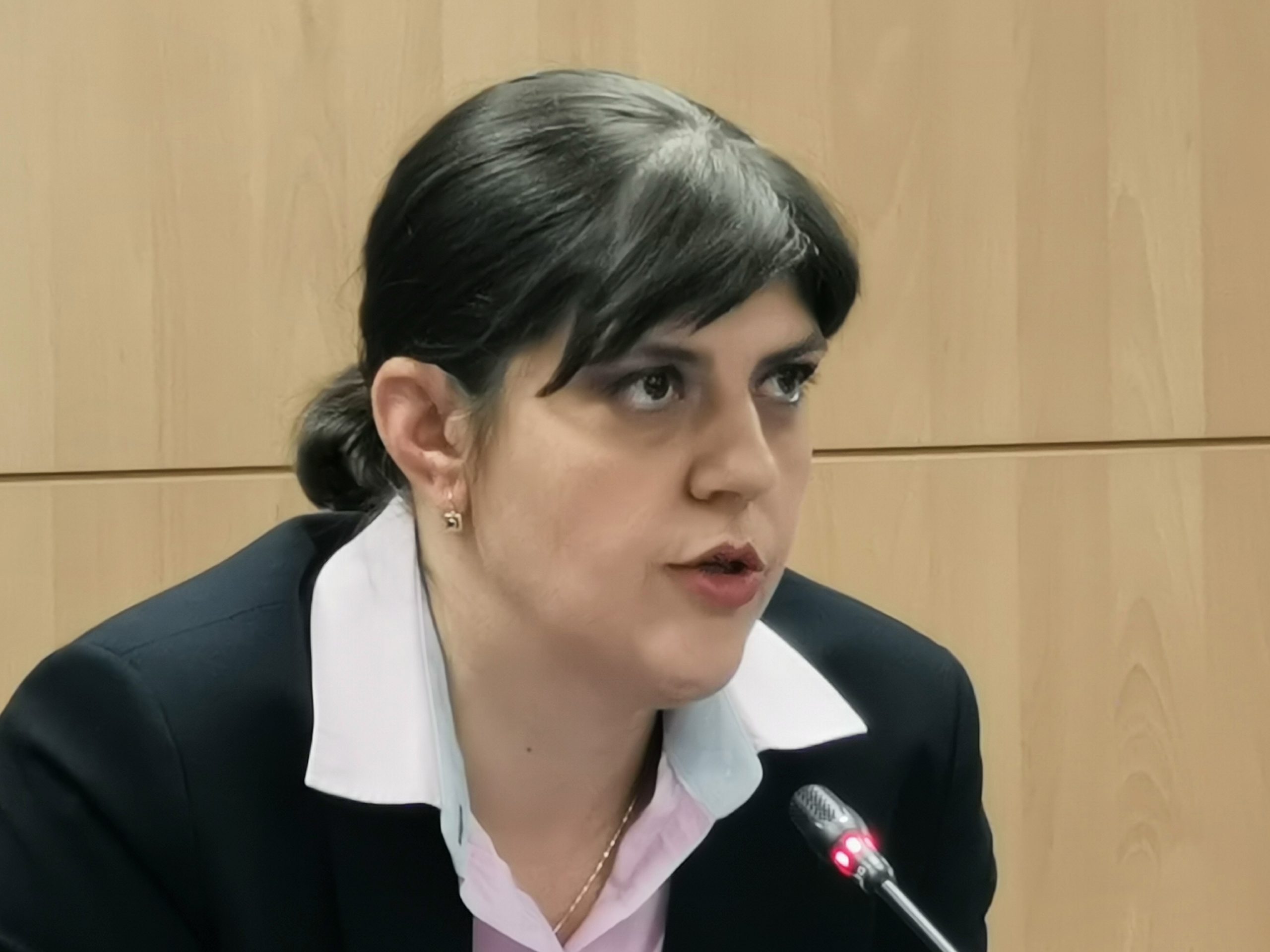Европейска комисия Лаура Кьовеши
