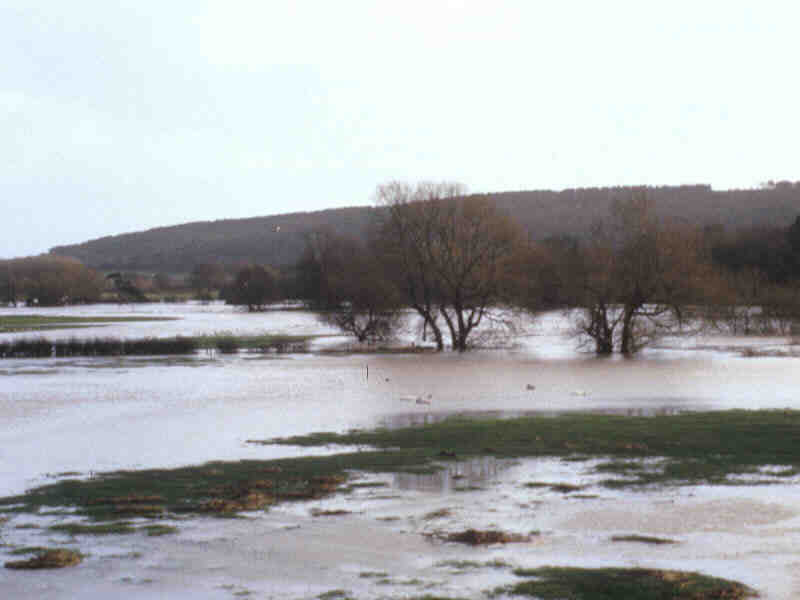 Migration Image