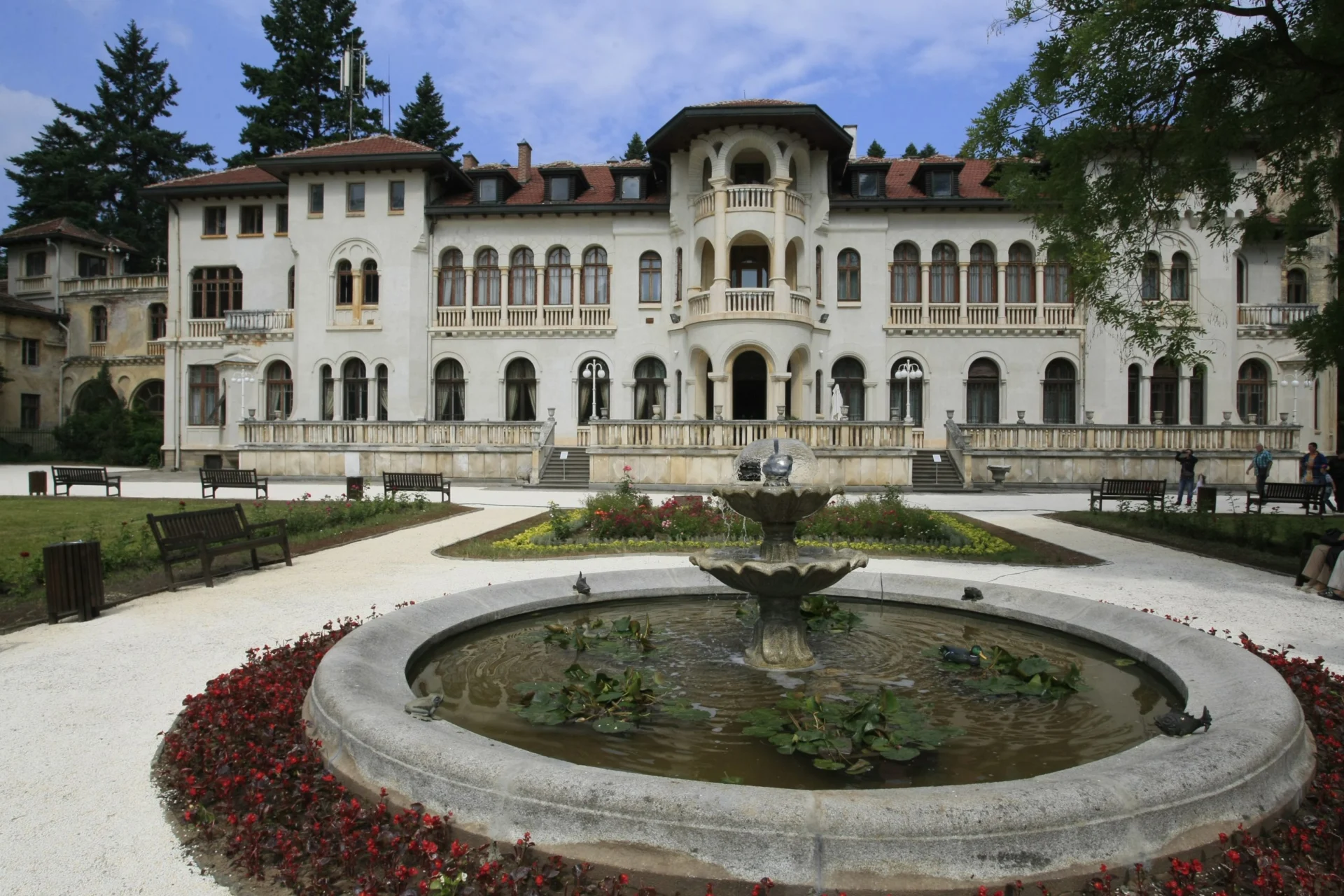 Врана