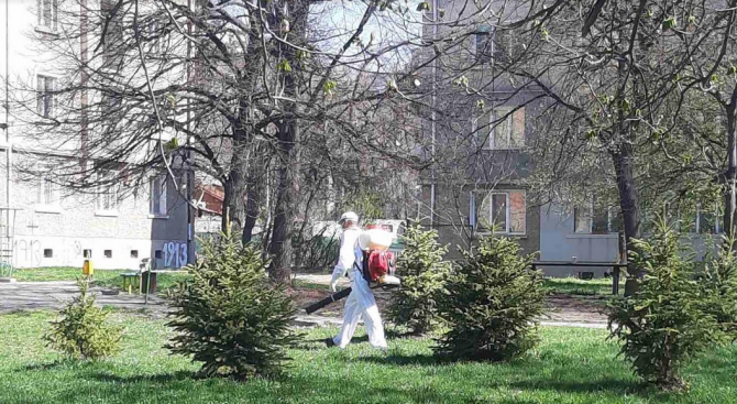 кърлежи