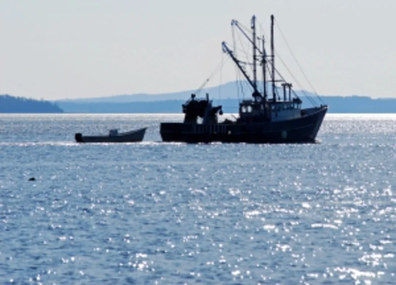 Migration Image