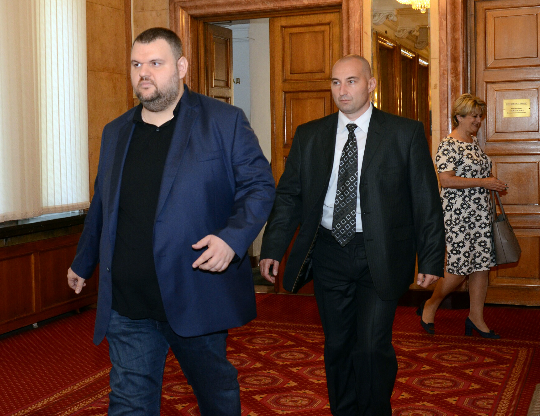 Парламент Делян Пеевски