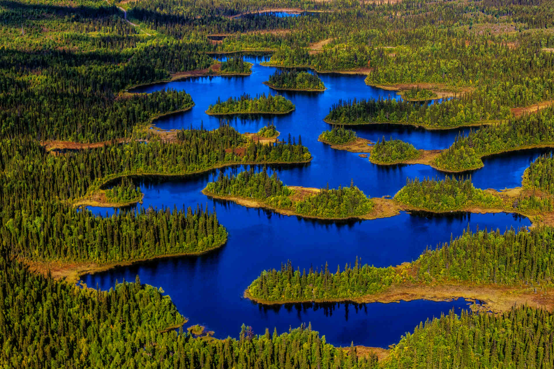 44e126f8 0643 48ae 9a55 a5ab841d5436