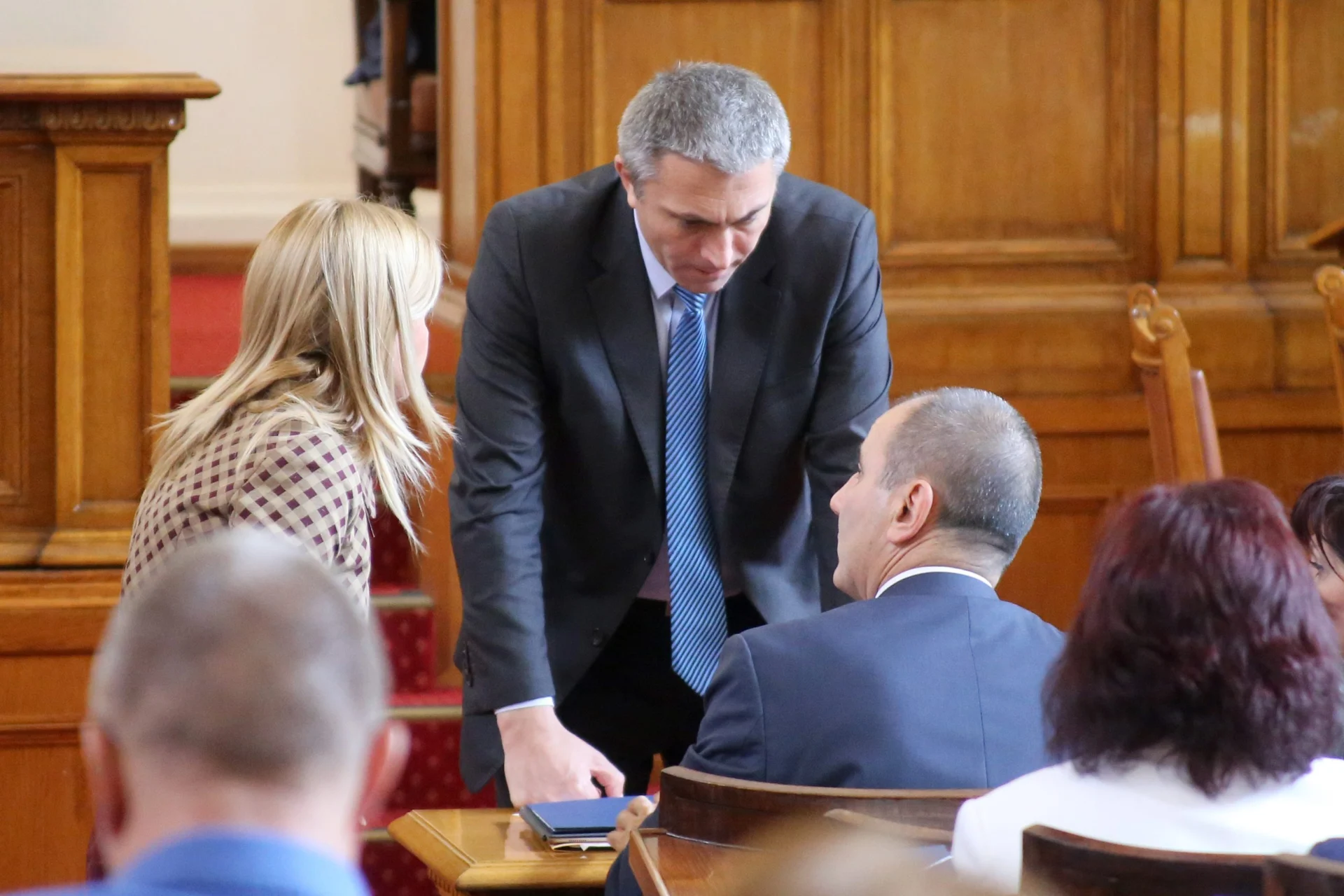 Парламент Светлана Ангелова