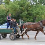 каруца
