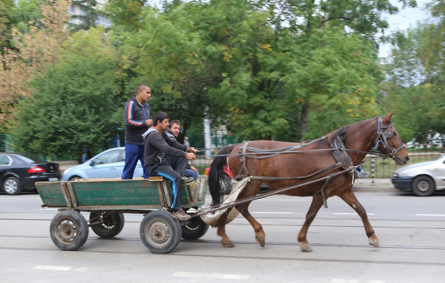 каруца