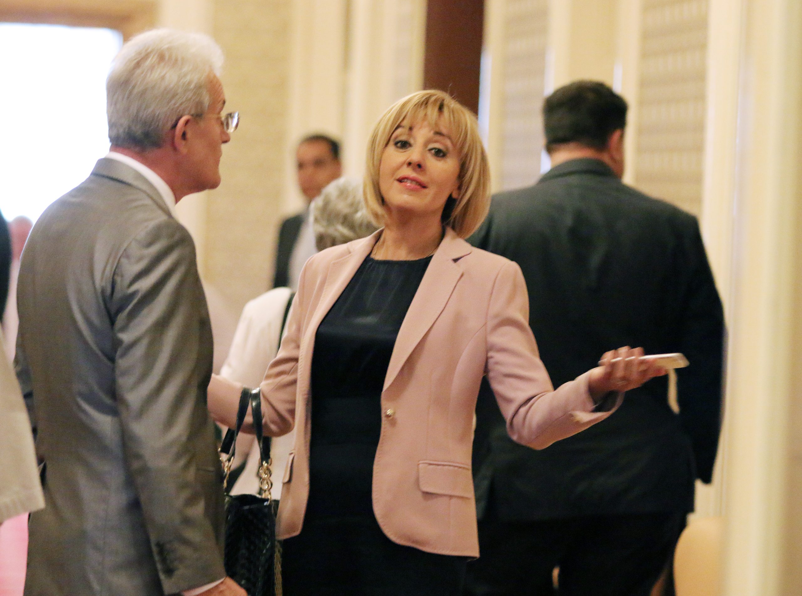 Парламент Мая Манолова БСП