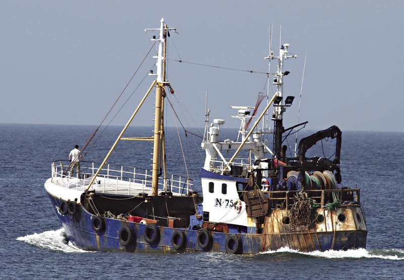 Migration Image