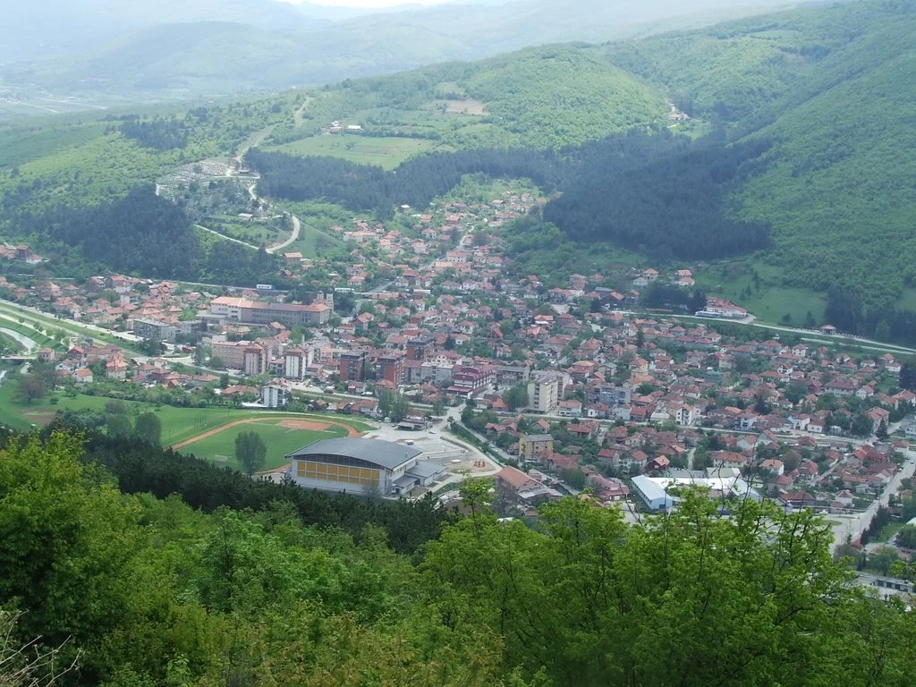 цариброд