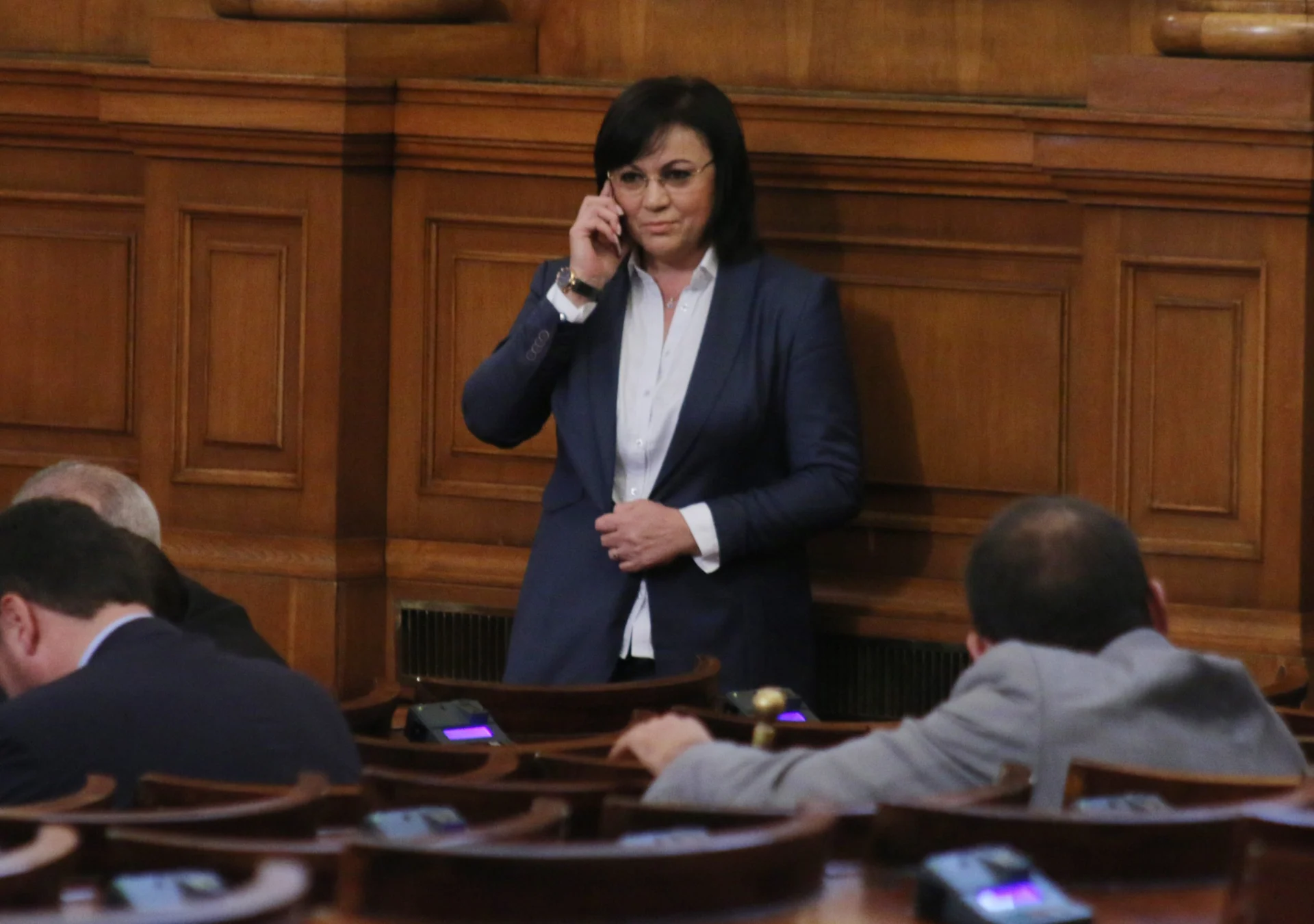 Парламент Корнелия Нинова