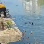 Начало 26 Мъж хвърли детето си от мост в Китай след семеен скандал