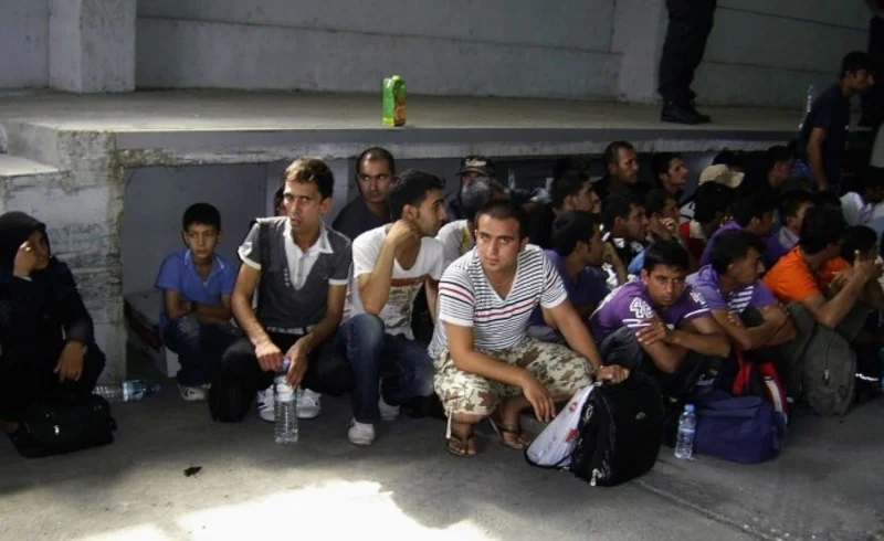 Migration Image