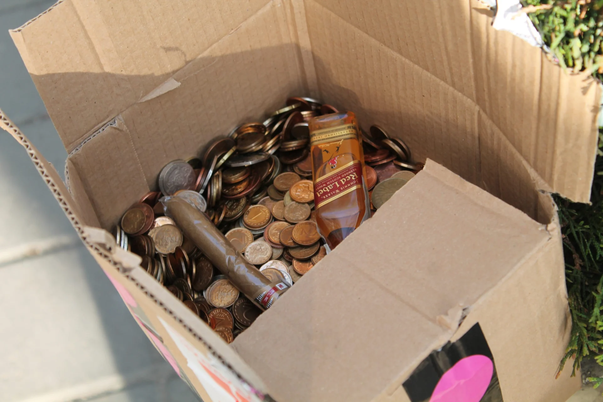 стотинки за Вежди