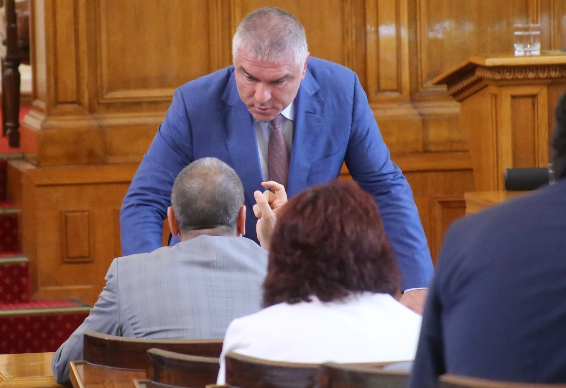 Парламент Воля - Веселин Марешки