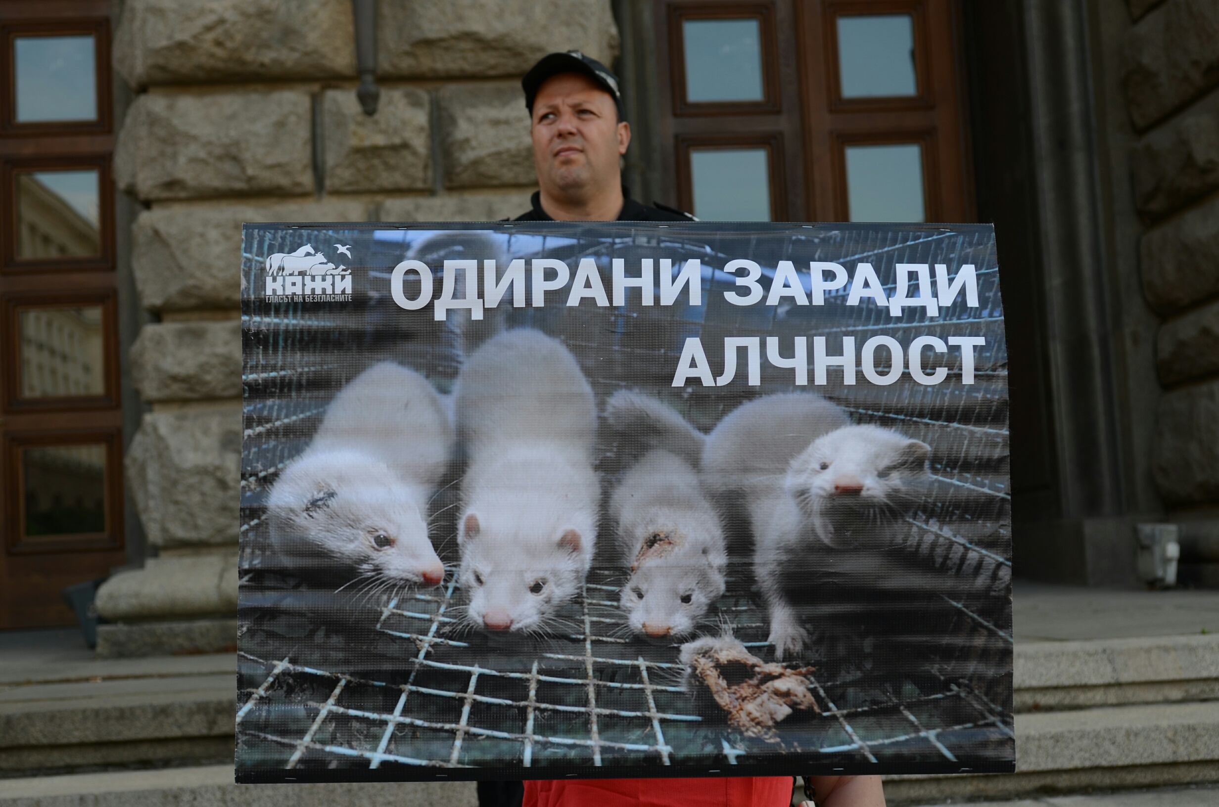 Протест срещу фермите за кожи животни
