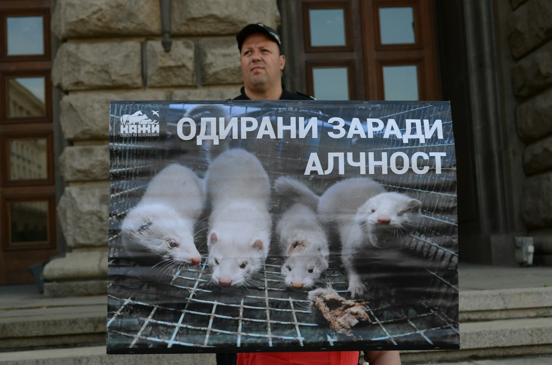 Протест срещу фермите за кожи животни