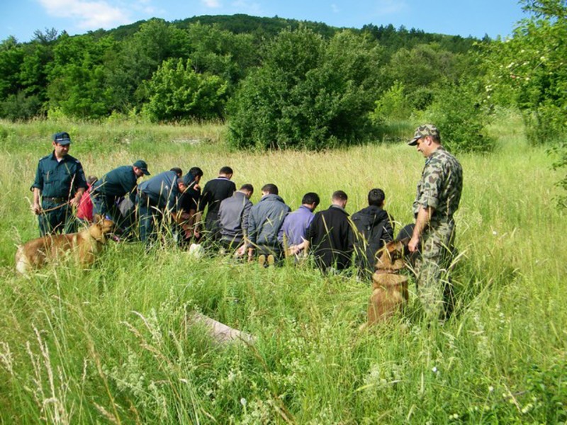 Migration Image