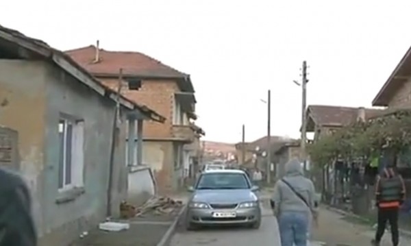 луковит