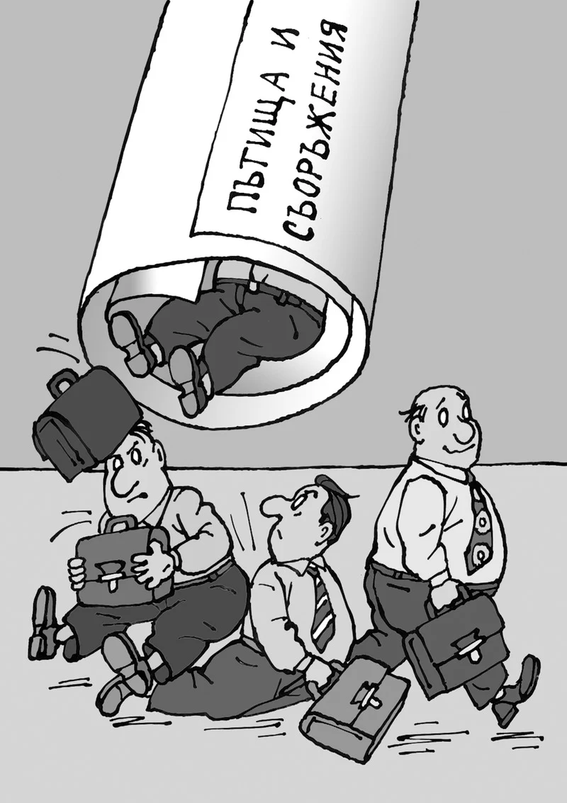 Migration Image