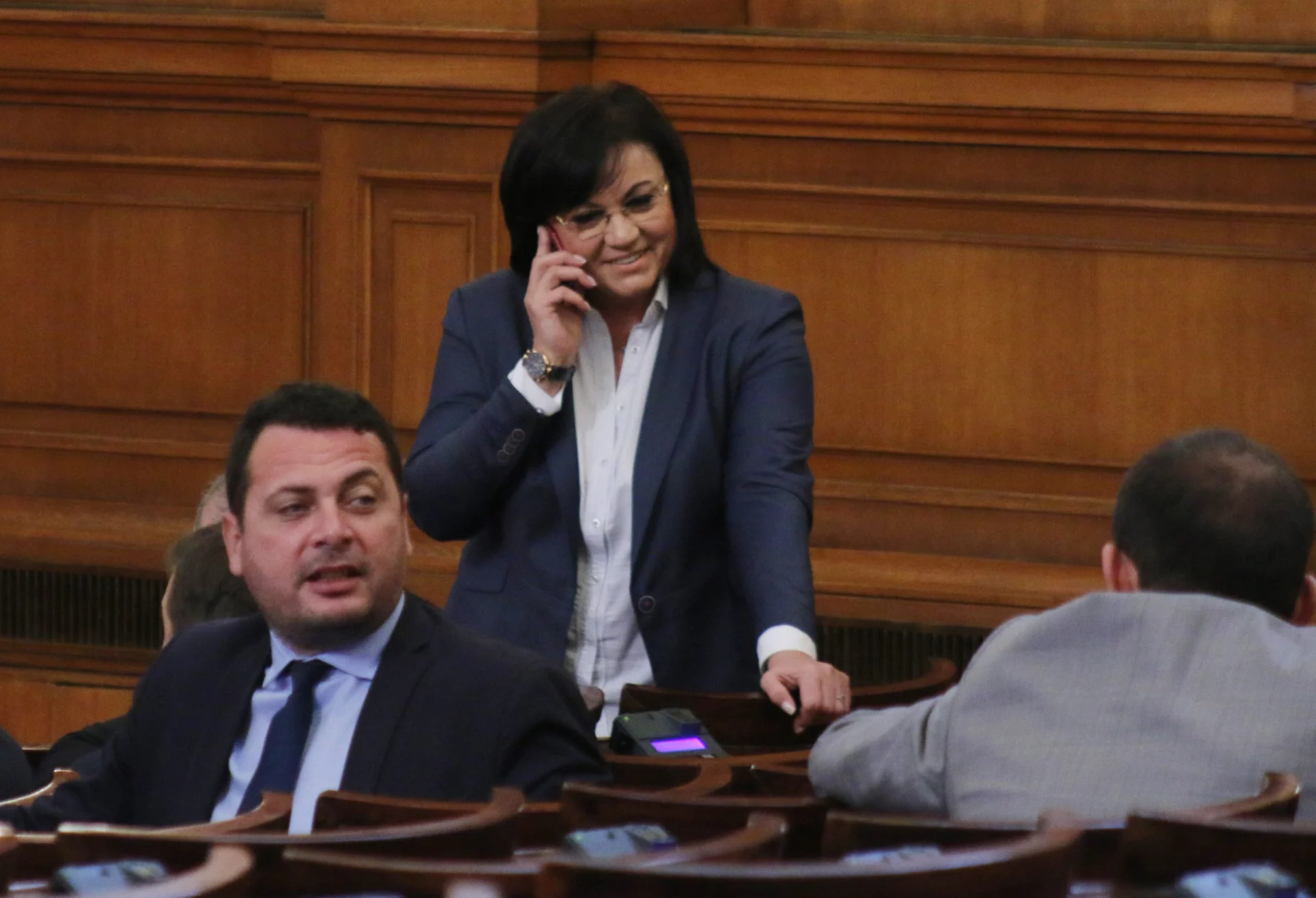 Парламент Корнелия Нинова
