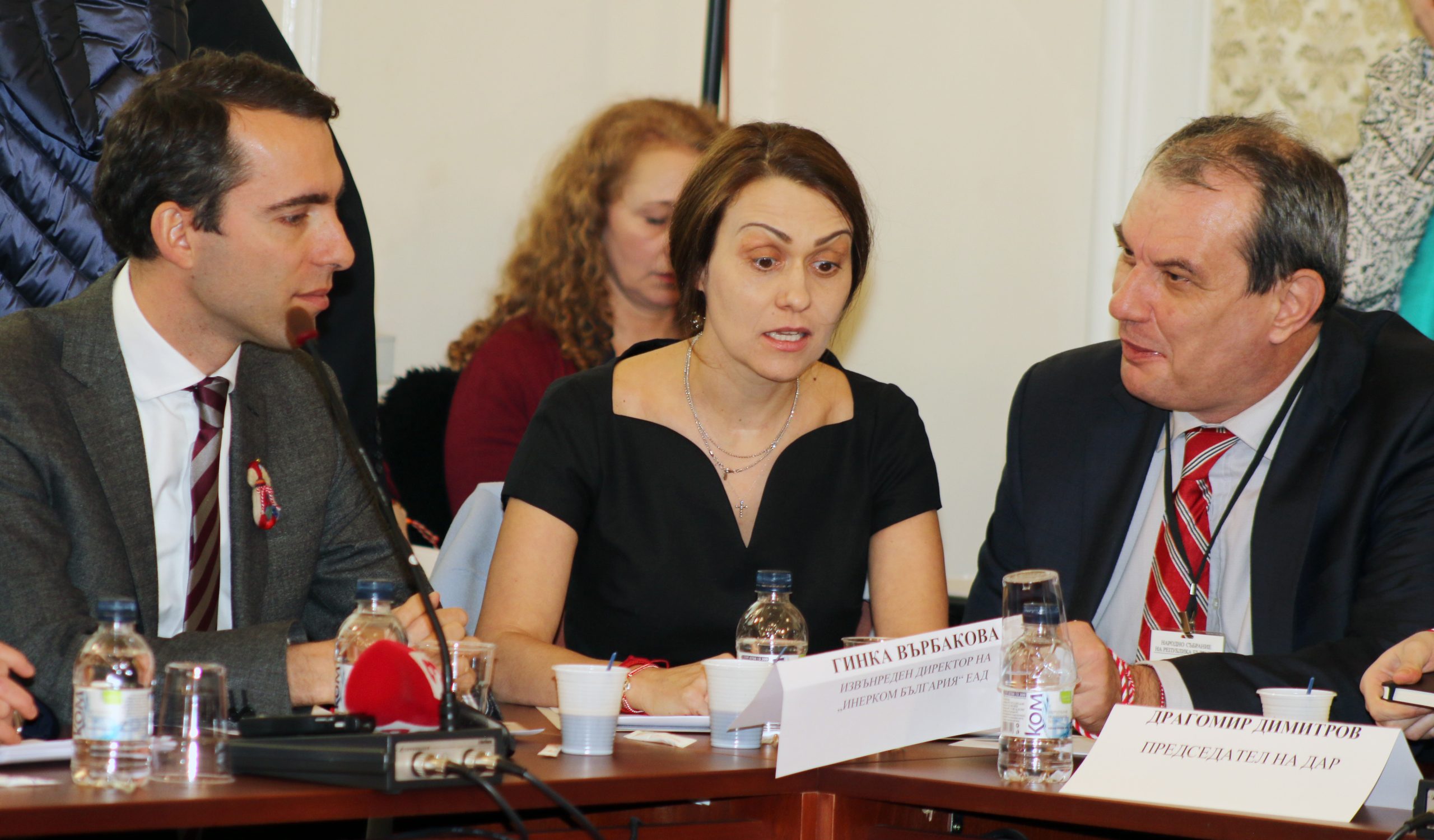 Парламент комисия по енергетика Гинка Върбакова...