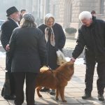пенсионери