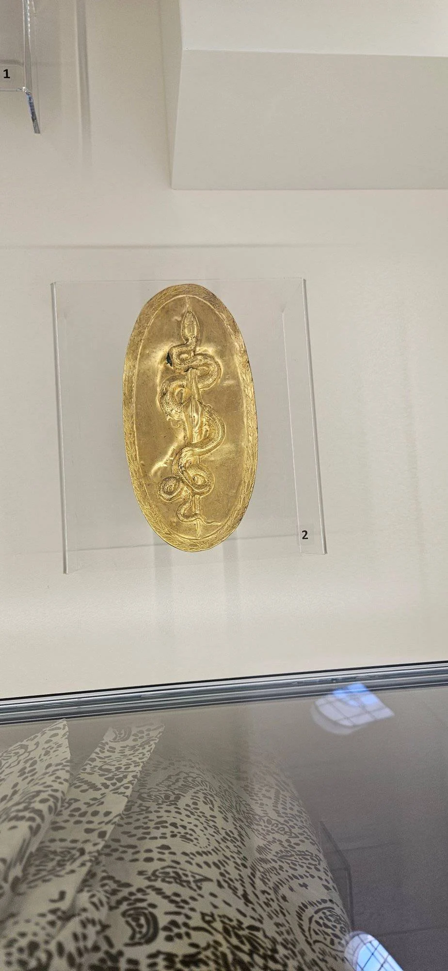 530945469 24657952010463431 8385522921103559932 n