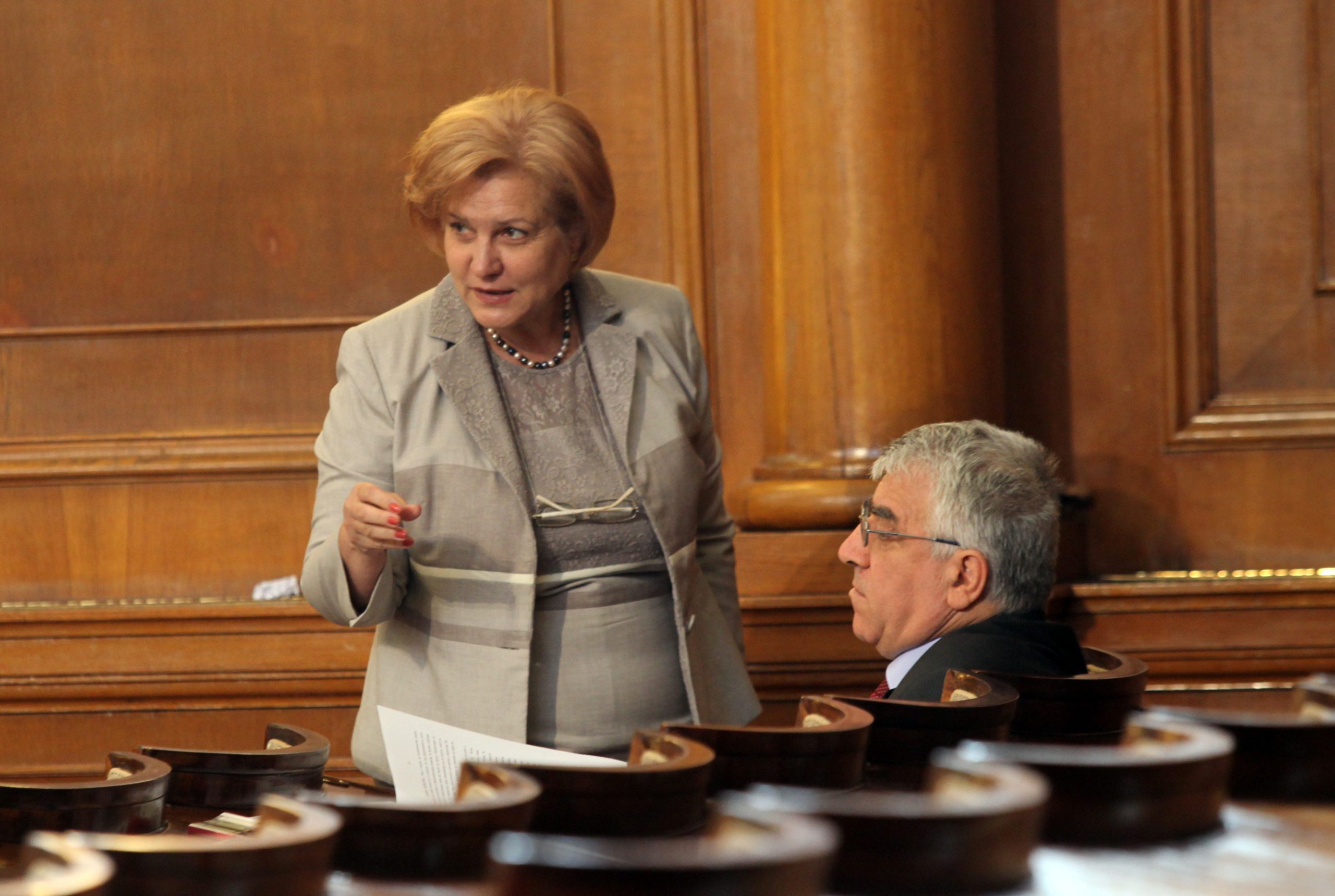 Парламент Менда Стоянова Румен Гечев