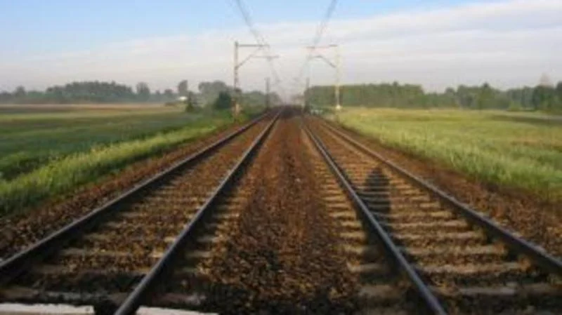 Migration Image