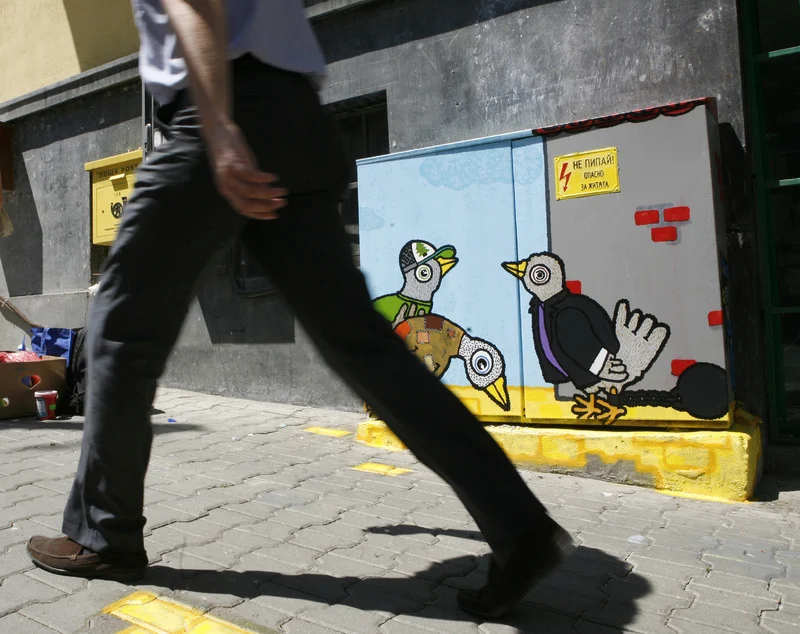 Migration Image