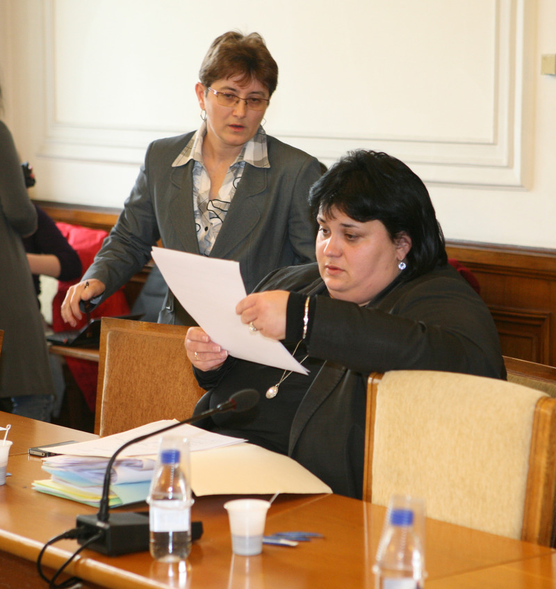 Искра Фидосова беше главното действащо лице при промените на Изборния кодекс.