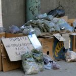 за гъби, Билкиподправкиулична търговия