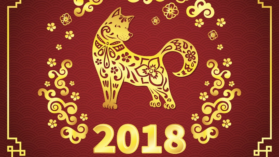 жълто куче