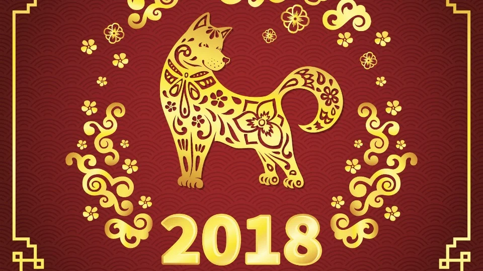 жълто куче