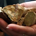 БТА„Мартерн” представя ново