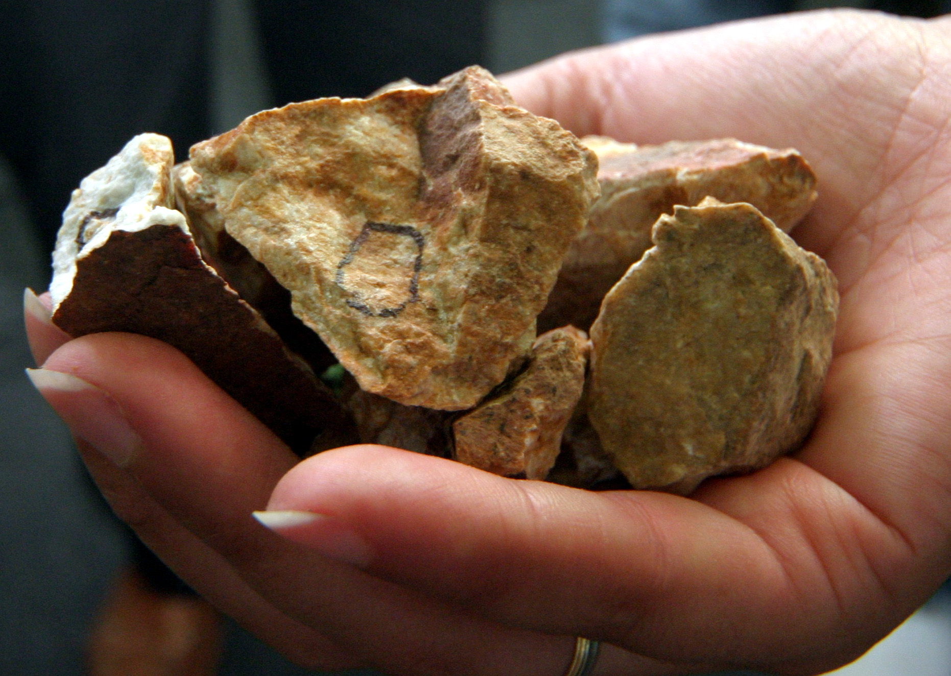 БТА„Мартерн” представя ново