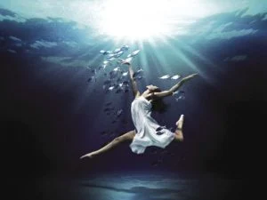 Migration Image