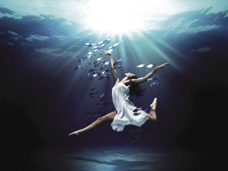 Migration Image