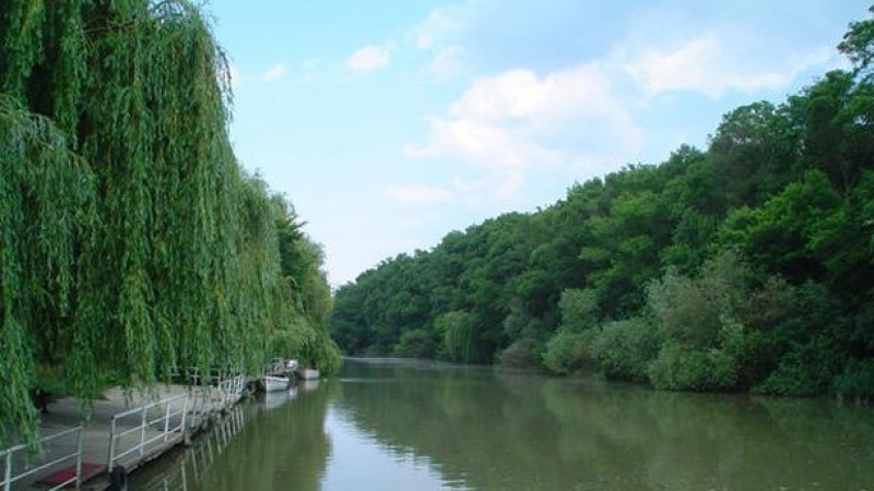 камчия