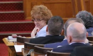 Виктория Василева, Парламент Виктория Василева