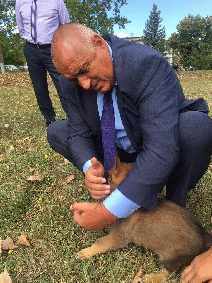 Бойко Борисов куче