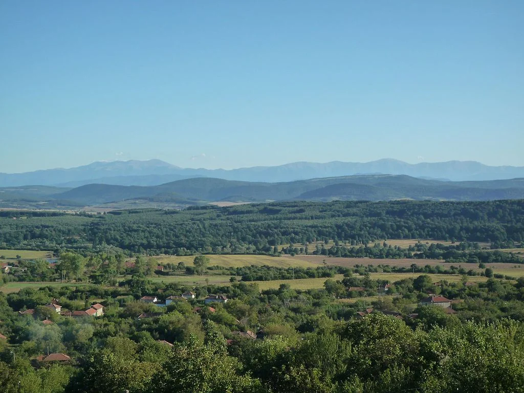 село брестово