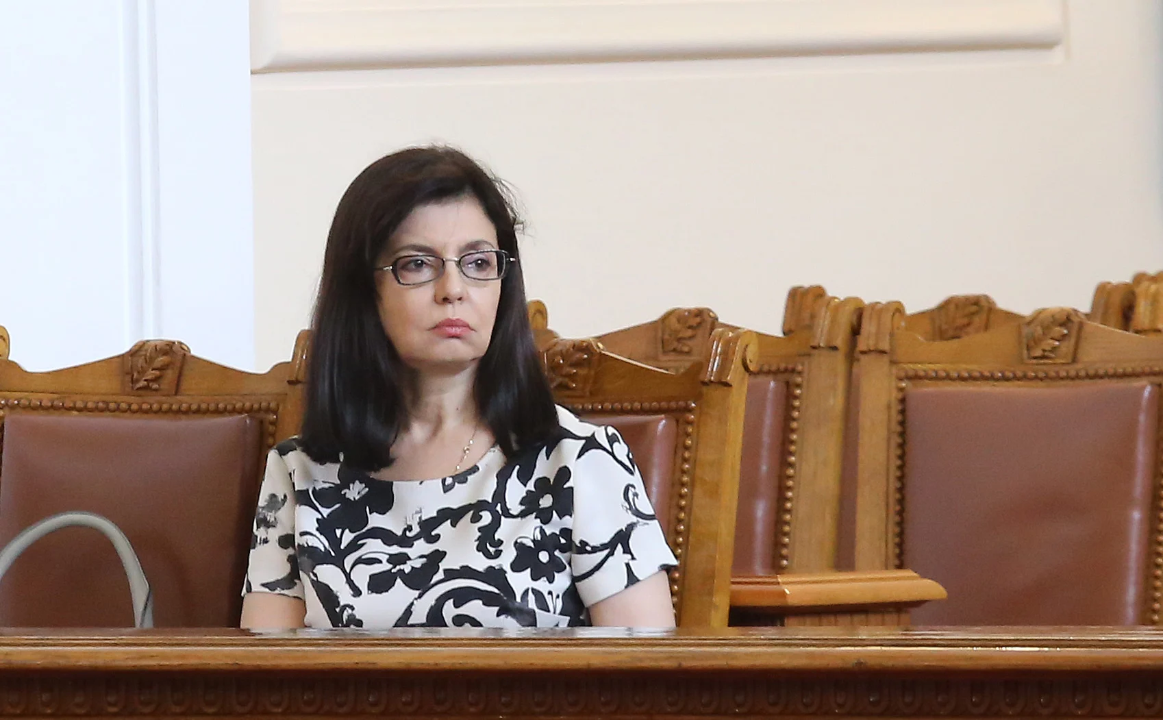 Парламент Меглена Кунева