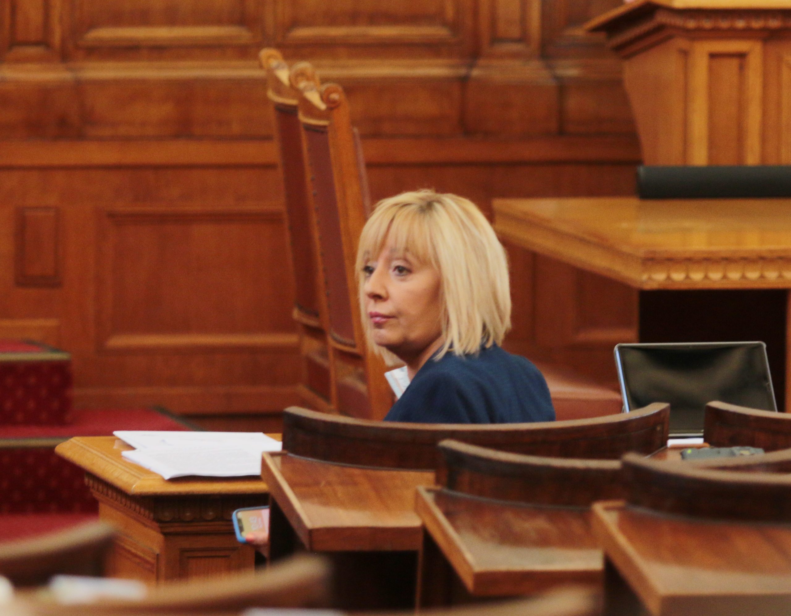 Парламент Мая Манолова