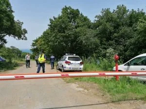росенец