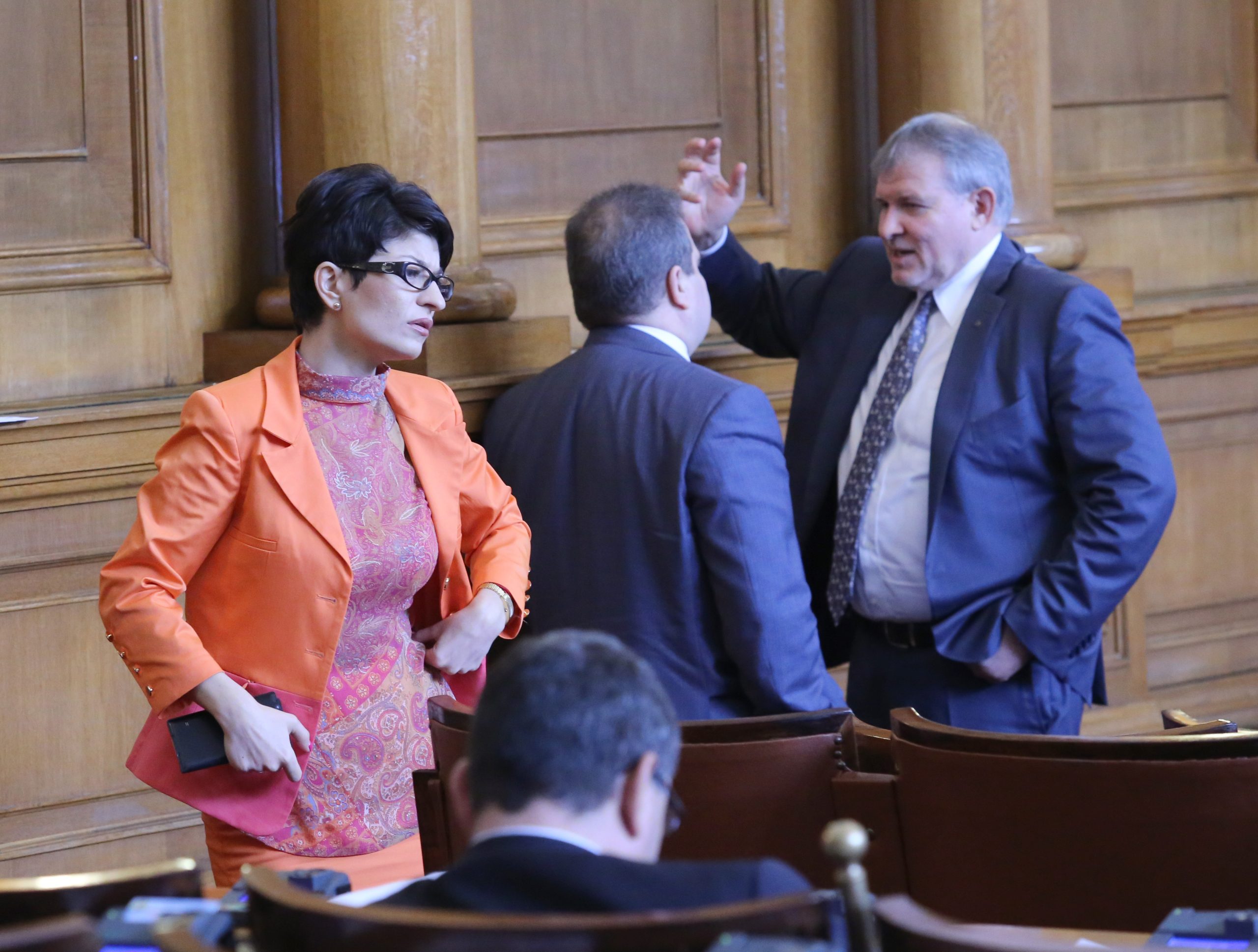 Парламент Десислава Атанасова Герб