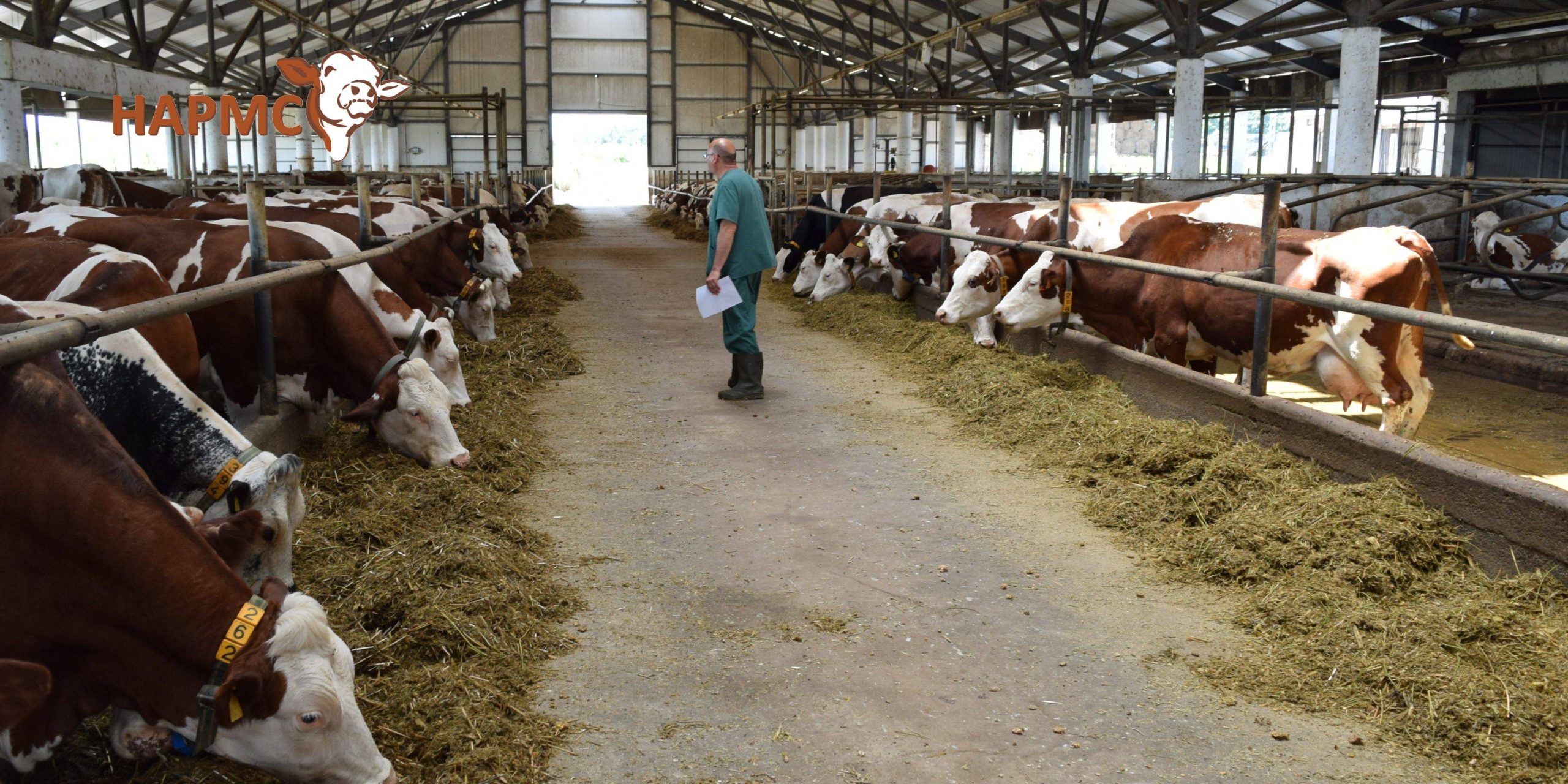 ферма - животни