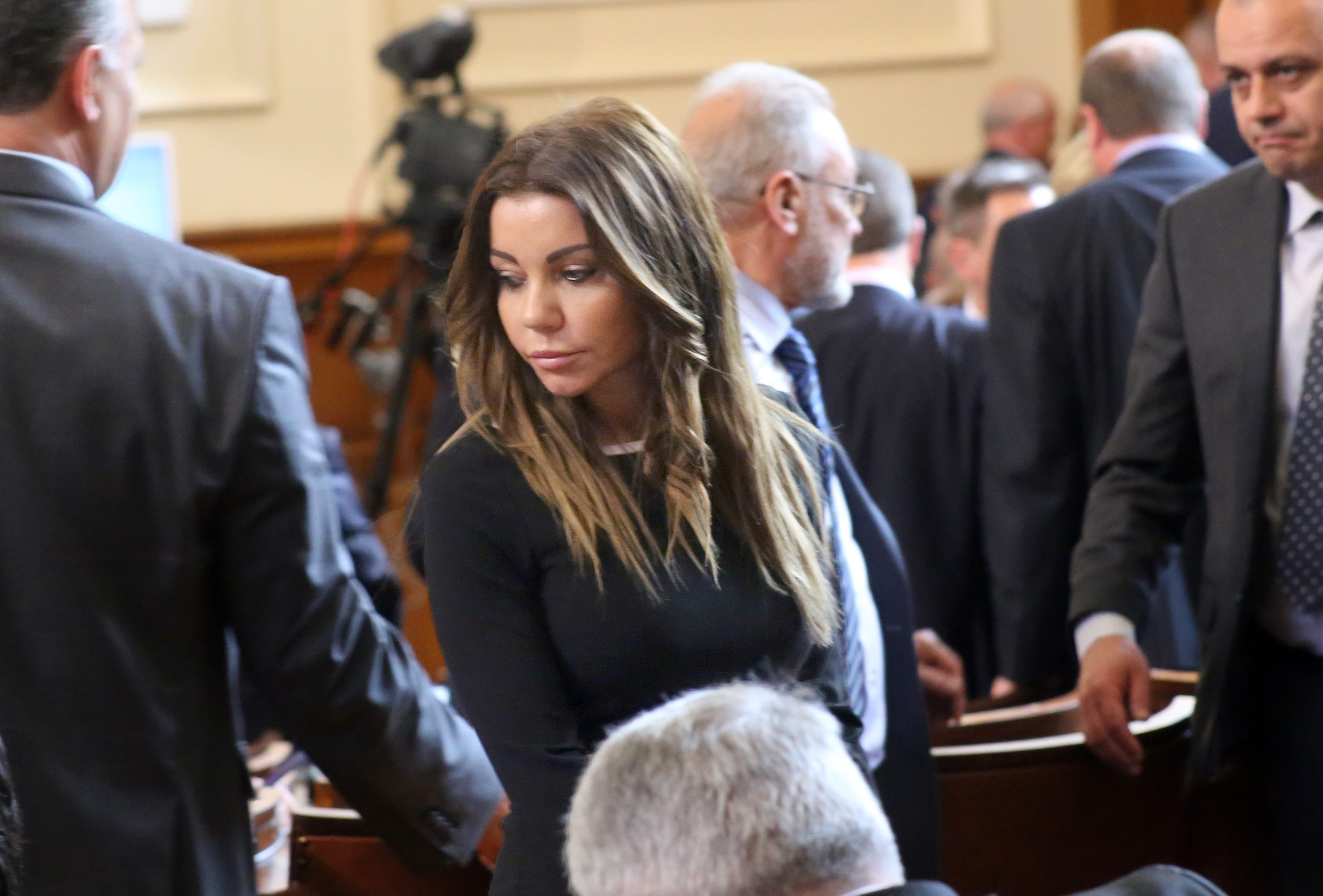 Парламент Нина Миткова
