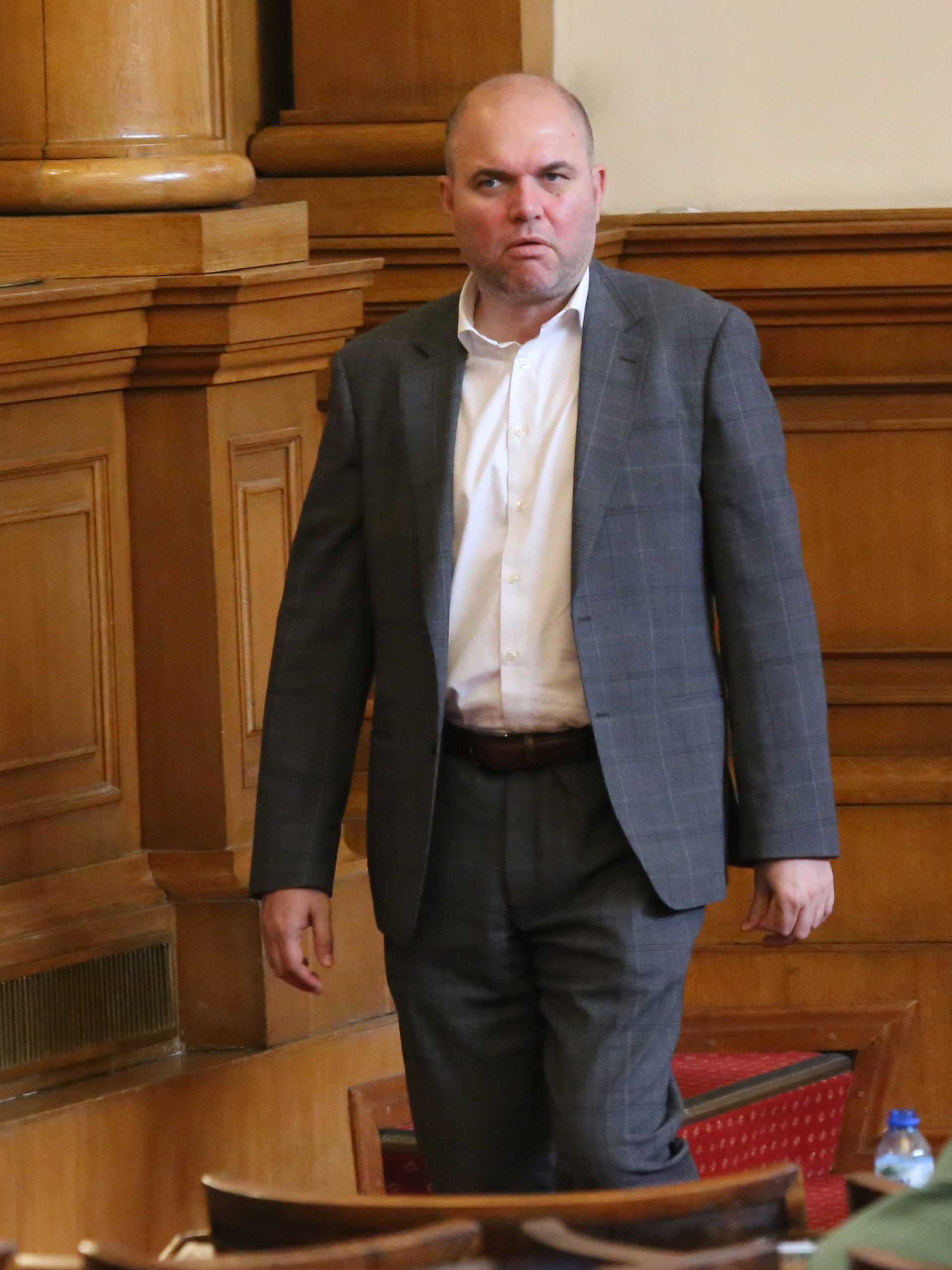 Парламент Владислав Панев