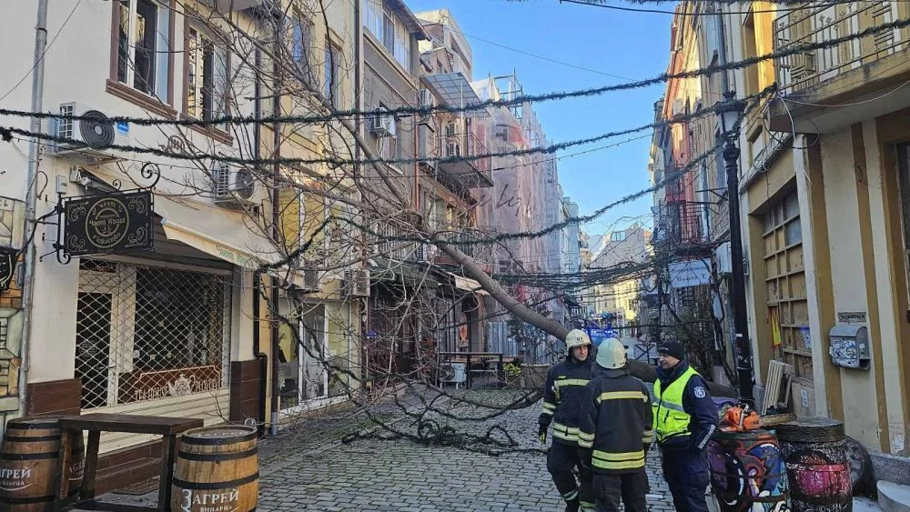 Силният вятър нанесе щети в редица градове